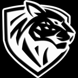 Ilbirs eSports