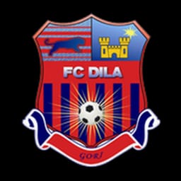 Dila Gori